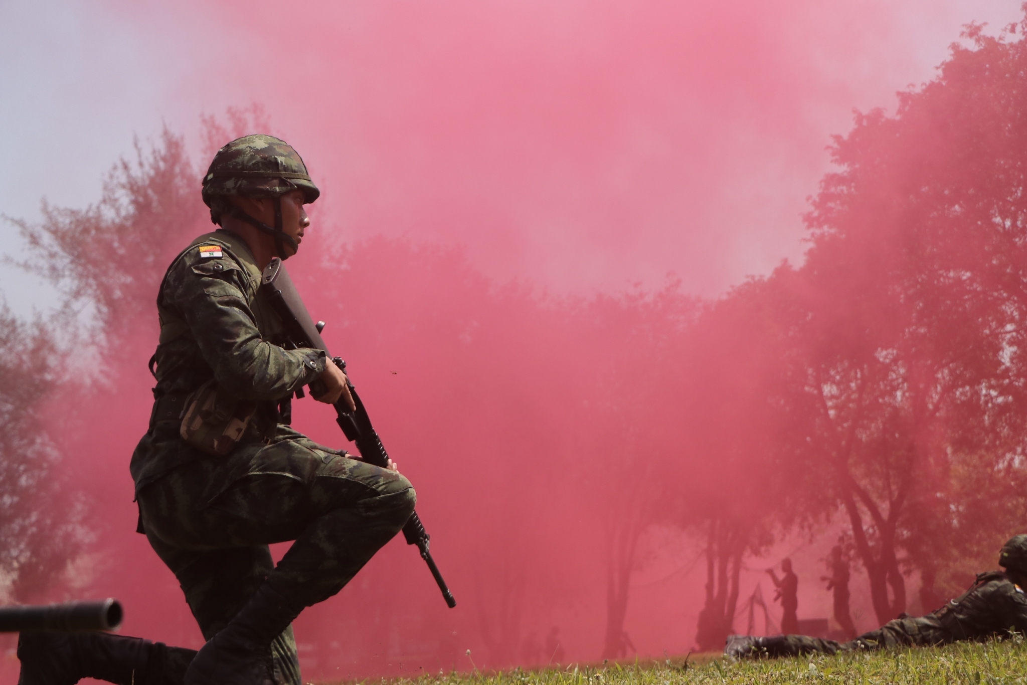 1f782682-25d4-433e-8550-091e18483ef8